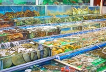 Hải Sản Tươi Sống Gò Vấp Ở Đâu Ngon? Khách Hàng Tin Chọn Hải Sản 24G