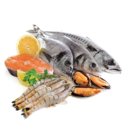 Công Ty TNHH Hải Sản 24G