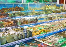 Hải Sản Tươi Sống Gò Vấp Ở Đâu Ngon? Khách Hàng Tin Chọn Hải Sản 24G