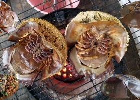 Sam Biển Nướng Mọi – Giữ Trọn Vị Ngọt Tự Nhiên Tại Hải Sản 24G