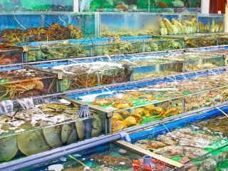 Hải Sản Tươi Sống Gò Vấp Ở Đâu Ngon? Khách Hàng Tin Chọn Hải Sản 24G