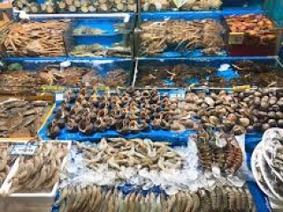 Hải Sản Tươi Sống Gò Vấp – Địa Chỉ Uy Tín, Tươi Ngon Mỗi Ngày