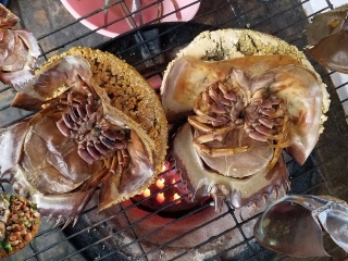 Sam Biển Nướng Mọi – Giữ Trọn Vị Ngọt Tự Nhiên Tại Hải Sản 24G