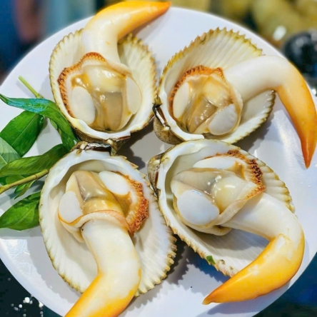 Sò dương hấp sả