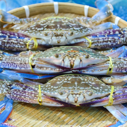 Ghẹ 3 - 5con / kg