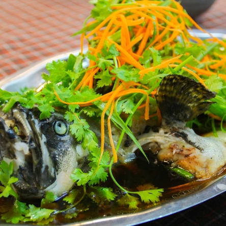 Cá mú trân châu hấp hành gừng