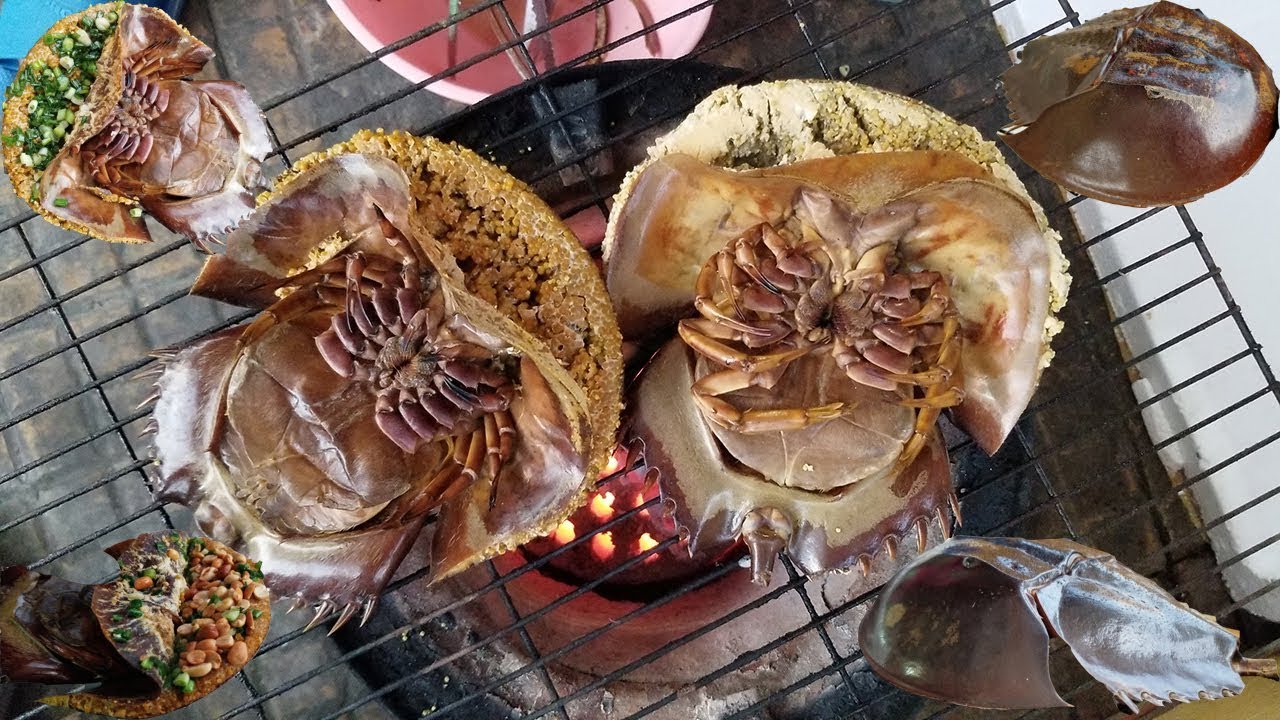 Sam Biển Nướng Mọi